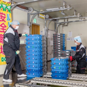 コンテナを整理する倉庫業務職員